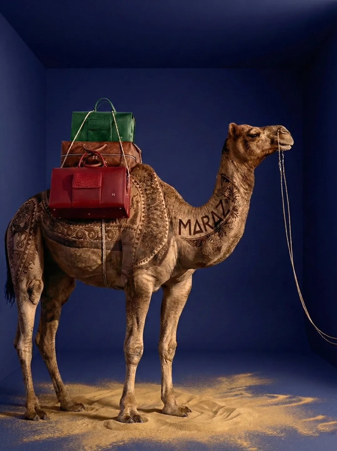 Chameau avec sac MARAZ